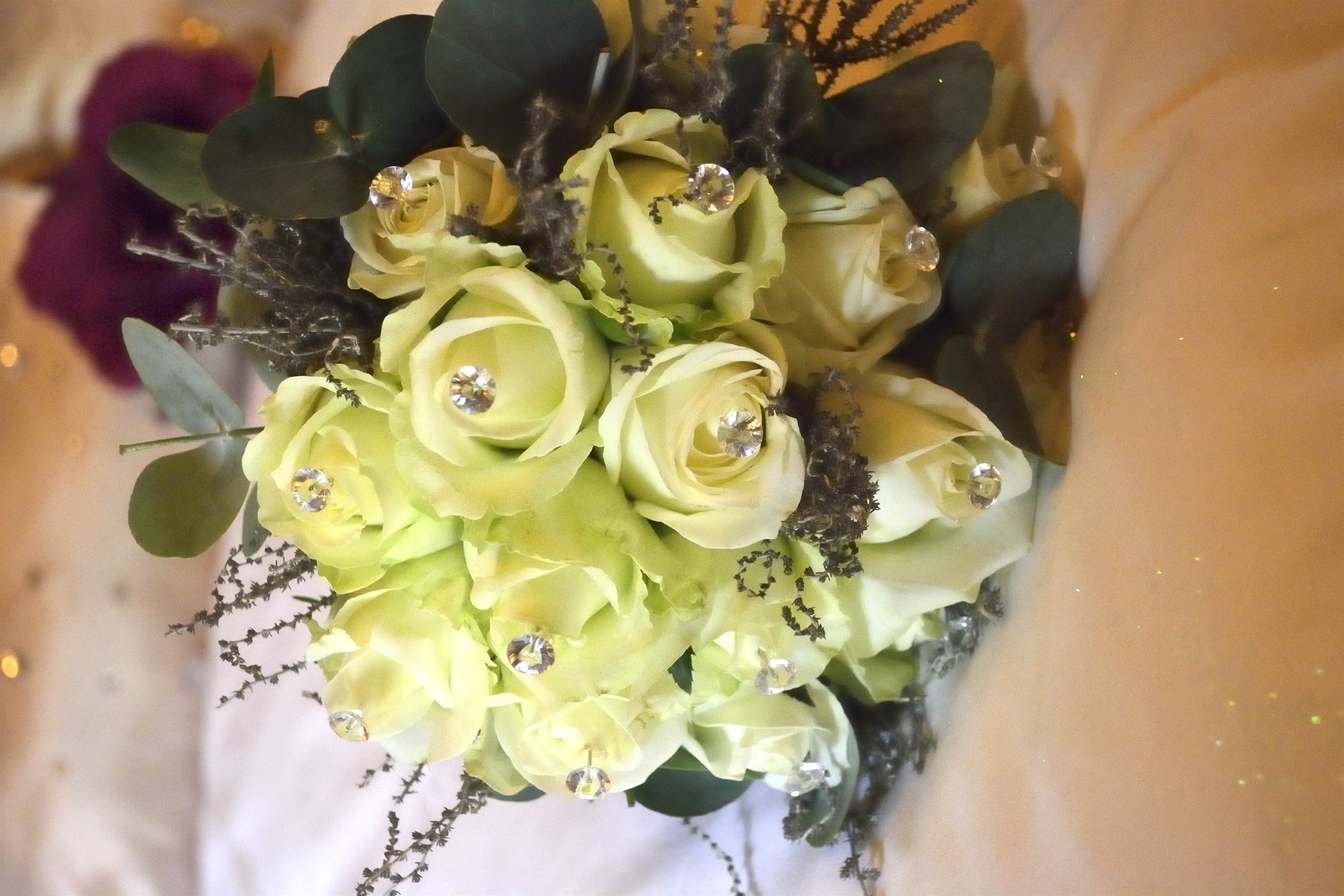 _DSC1464_3230 - Copy